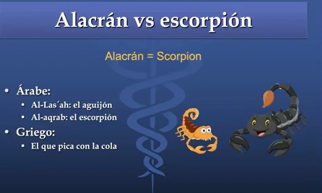 Alacran vs Escorpion